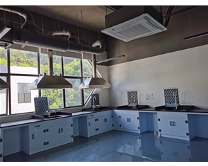 PP邊臺 實驗室設(shè)備實驗臺