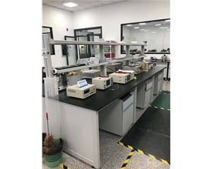 安規(guī)實驗臺 實驗室操作臺