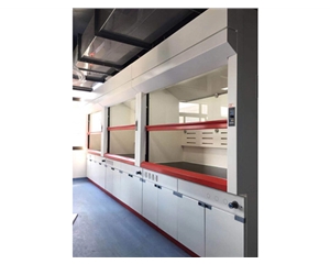 全鋼結(jié)構(gòu)實驗室通風(fēng)柜